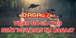 VIDEO ĐÁ GÀ CPC3 NGÀY 30/6/2025 TẠI DAGA67