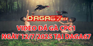 VIDEO ĐÁ GÀ CPC1 NGÀY 12/7/2025 TẠI DAGA67