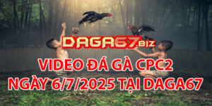 VIDEO ĐÁ GÀ CPC2 NGÀY 6/7/2025 TẠI DAGA67