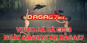 VIDEO ĐÁ GÀ CPC3 NGÀY 6/8/2025 TẠI DAGA67