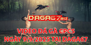 VIDEO ĐÁ GÀ CPC5 NGÀY 9/9/2025 TẠI DAGA67
